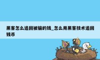 黑客怎么追回被骗的钱_怎么用黑客技术追回钱币