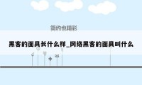 黑客的面具长什么样_网络黑客的面具叫什么