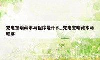 充电宝暗藏木马程序是什么_充电宝暗藏木马程序