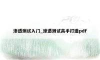 渗透测试入门_渗透测试高手打造pdf