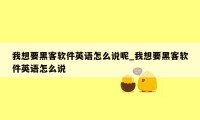 我想要黑客软件英语怎么说呢_我想要黑客软件英语怎么说