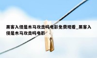 黑客入侵是木马攻击吗电影免费观看_黑客入侵是木马攻击吗电影