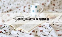 dns放松_dns放大攻击服务器