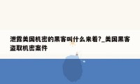 泄露美国机密的黑客叫什么来着?_美国黑客盗取机密案件