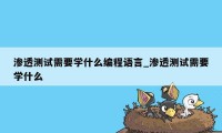 渗透测试需要学什么编程语言_渗透测试需要学什么