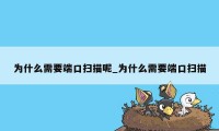 为什么需要端口扫描呢_为什么需要端口扫描