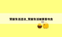 赞丽生活违法_赞丽生活被黑客攻击