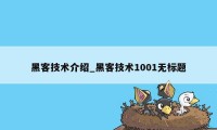 黑客技术介绍_黑客技术1001无标题