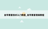 自学黑客技术入门教程_自学黑客初级教程