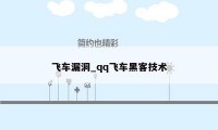 飞车漏洞_qq飞车黑客技术