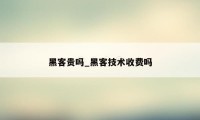 黑客贵吗_黑客技术收费吗