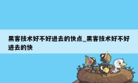 黑客技术好不好进去的快点_黑客技术好不好进去的快