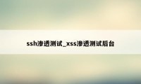 ssh渗透测试_xss渗透测试后台