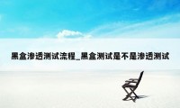 黑盒渗透测试流程_黑盒测试是不是渗透测试