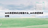 web渗透测试过程是什么_web渗透测试过程