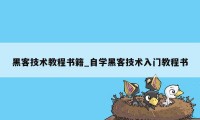 黑客技术教程书籍_自学黑客技术入门教程书