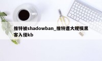 推特被shadowban_推特遭大规模黑客入侵kb