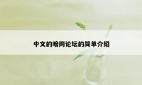 中文的暗网论坛的简单介绍