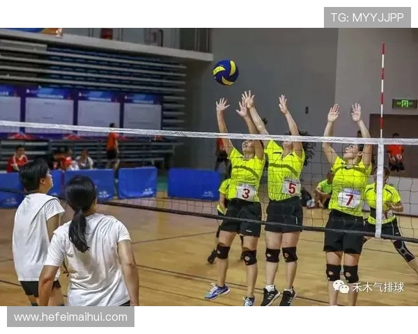 上海排球队中路突破革新探索新战术提升整体实力与竞技水平