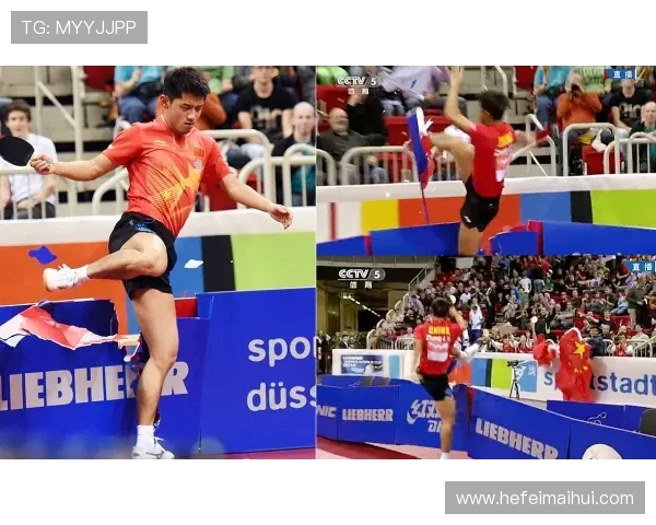 南京乒乓球队在全国耐力排行榜中荣获第十名的辉煌成就分析