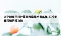 辽宁职业学院计算机网络技术怎么样_辽宁职业院校网络攻防