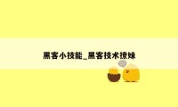 黑客小技能_黑客技术撩妹