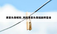 黑客头像昵称_网络黑客头像插画师是谁