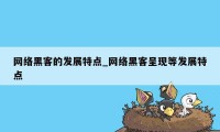 网络黑客的发展特点_网络黑客呈现等发展特点