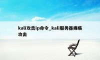 kali攻击ip命令_kali服务器瘫痪攻击