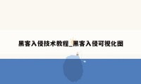 黑客入侵技术教程_黑客入侵可视化图